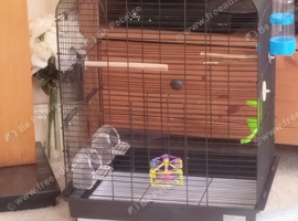 budgie cage