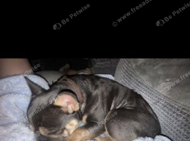 Beautiful boy 5 years old
