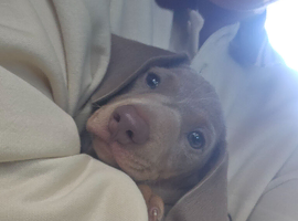 For sale