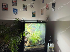 45x45x60 custom interior terrarium