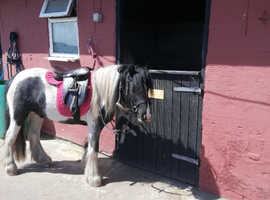 Stables in Blackpool area
