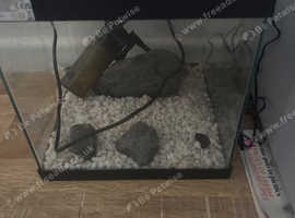 Fish tank filter and pump and stones