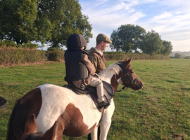 Lead rain pony ready for a job!