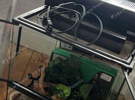 Reptile tank