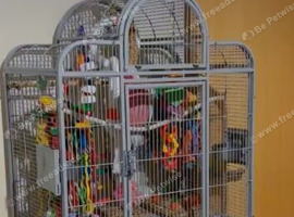 Bird cage and stand