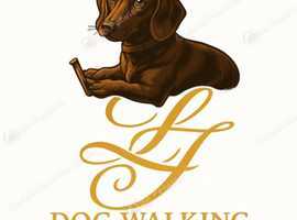 LJ Dog Walking Services