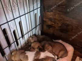 for sale