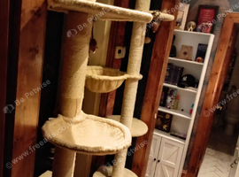 3 cat trees