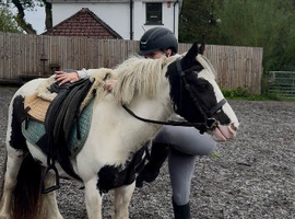 Genuine little super cob