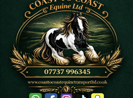 Experienced Horse Transport