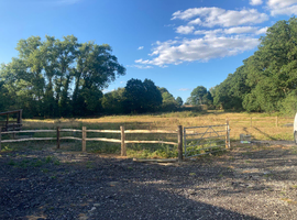 Land for grazing headcorn Kent