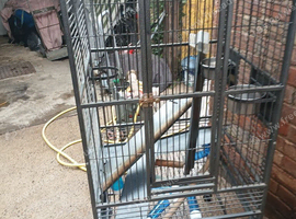 Parrot cage
