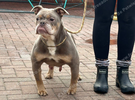 Sweet adult girl pinky