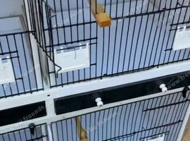 2 rows of 5 breeding cages