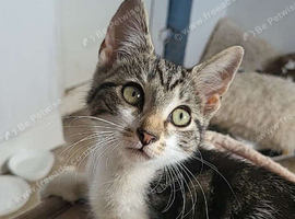 Olivia