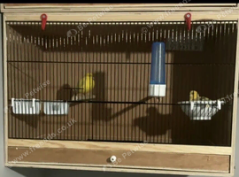 Pair and canaries and set up