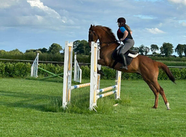 Talented TB