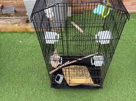 Bird cage