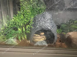 2 Python and set up