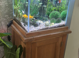 Oak cabinet tank