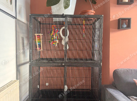 FULL SET UP- Bird/rat cage and accessories