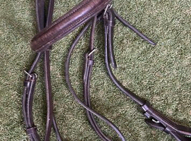 Brown cob bridle