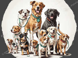 Happy paws, Happy trails with Andrys dog walking!
