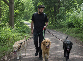 Best Dog Walker in Wolverhampton