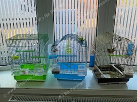 Travel cage