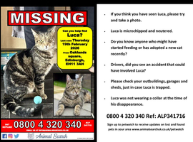 Luca missing from broomhouse edinburgh