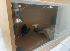 3ft Vivariums tank