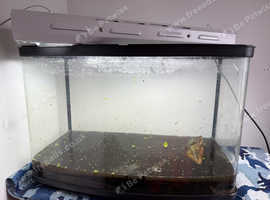 Plain aquarium no lid