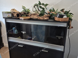 4ft Vivarium