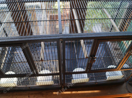 metal bird cages
