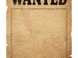 Wanted: short term field companion