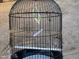 Black bird cage - brand new