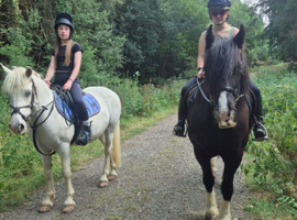 True reliable 15hh RDA happy hacker for all the family