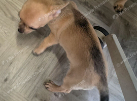 1 female ready to leave
