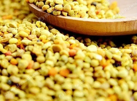 Dandelion + Organic Bee Pollen 10g Approx. Ideal for: Isopods, Millipedes + Much More