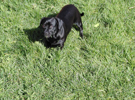 Rehome