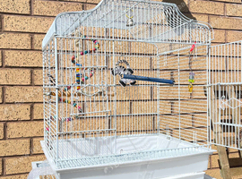 Bird cage white parrot cage small budgie cage used