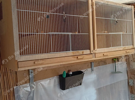 Parakeet cage and nest boxes