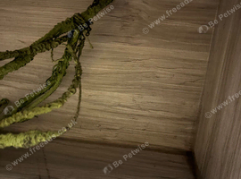 4ft x 2ft Viv in excellent condition