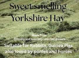 Sweet smelling luscious Yorkshire Hay