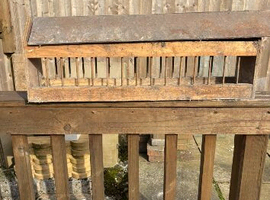Large pigeon feeder