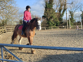 Rider looking for loan