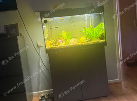 Juwel fish tank for sale 125l