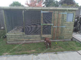 Rabbit hutch and run