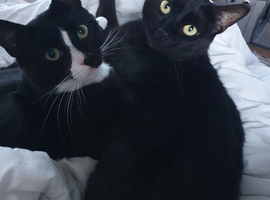 Two Beautiful Boys!
