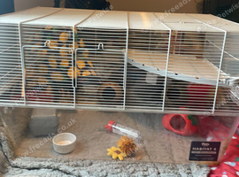 Need it ASAP will accept sensible offer Gerbil hamster cage